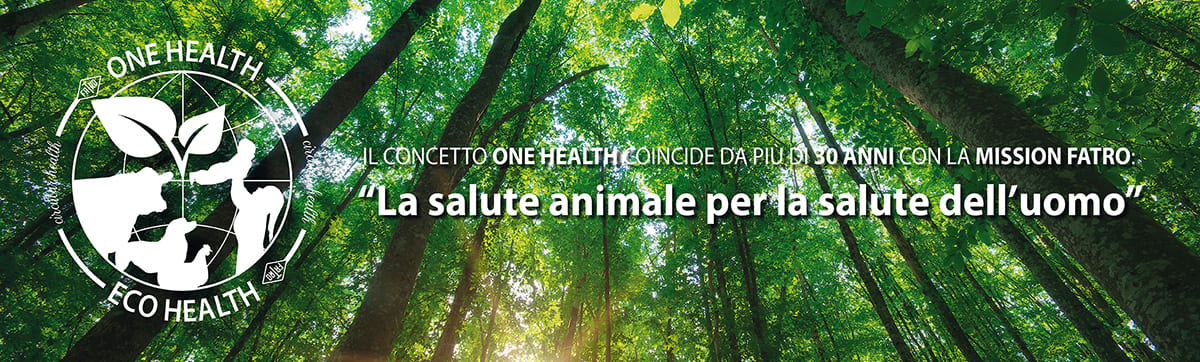 One health Eco health
